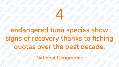 Did you know? 170921