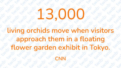 Did you know? 061021