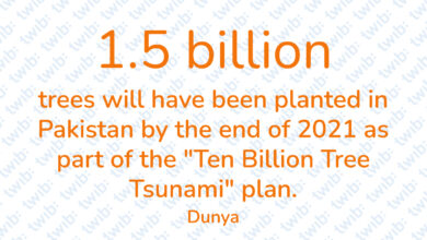 Did you know? 131021