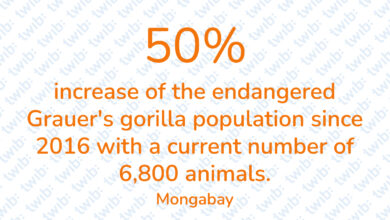 Did you know? 191021