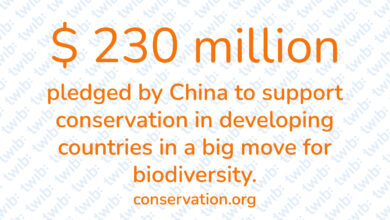 Did you know? 201021