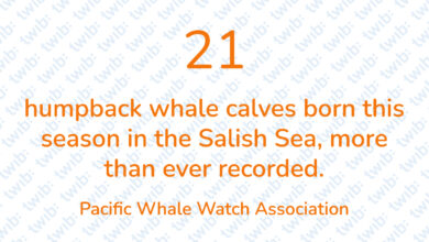 Did you know? 251021