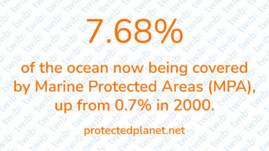 Did you know? 271021