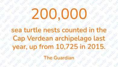 Did you know? 031121