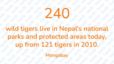 Did you know? 181121