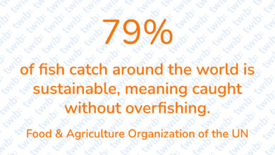 Did you know? 201121