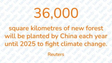 Did you know? 051221