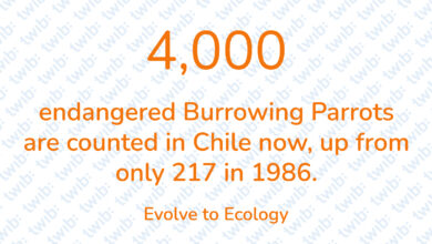 Did you know? 141221