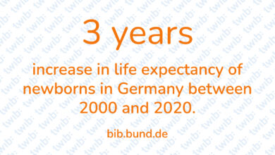 Did you know? 311221