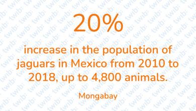 Did you know? 210122
