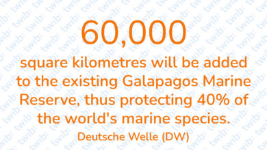 Did you know? 100222