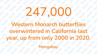 Did you know? 110222