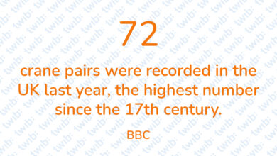 Did you know? 170222