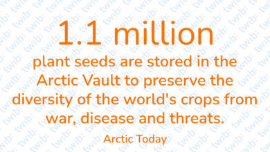 Did you know? 010322