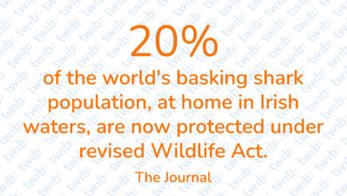 Did you know? 210322
