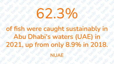 Did you know? 010422