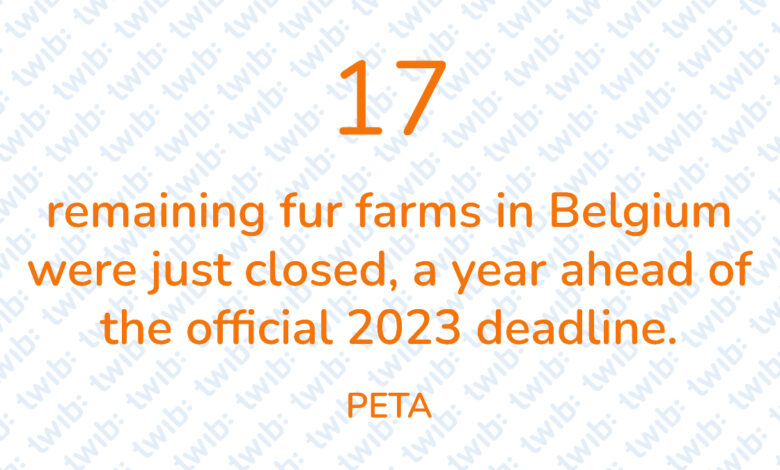 Did you know? 080422