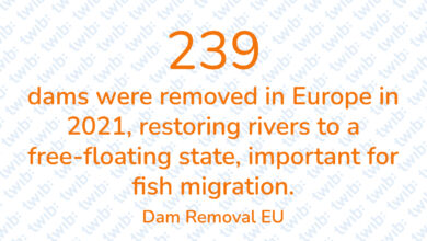 Did you know? 290522