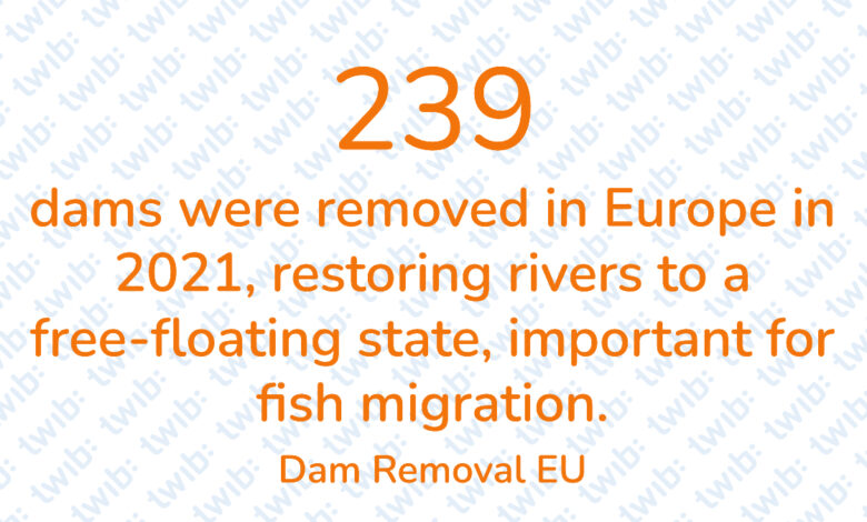 Did you know? 290522