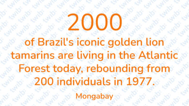 Did you know? 070622