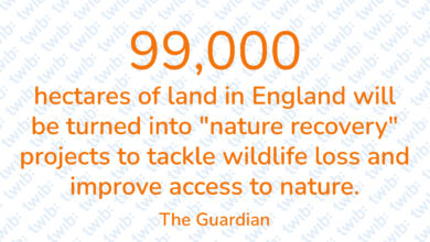 Did you know? 090622