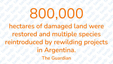 Did you know? 080722