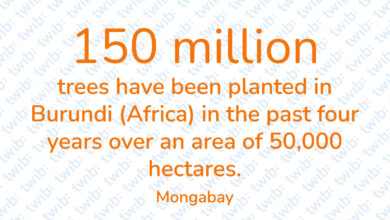 Did you know? 030822