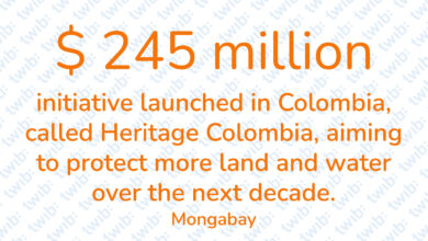 Did you know? 260822
