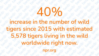 Did you know? 080822