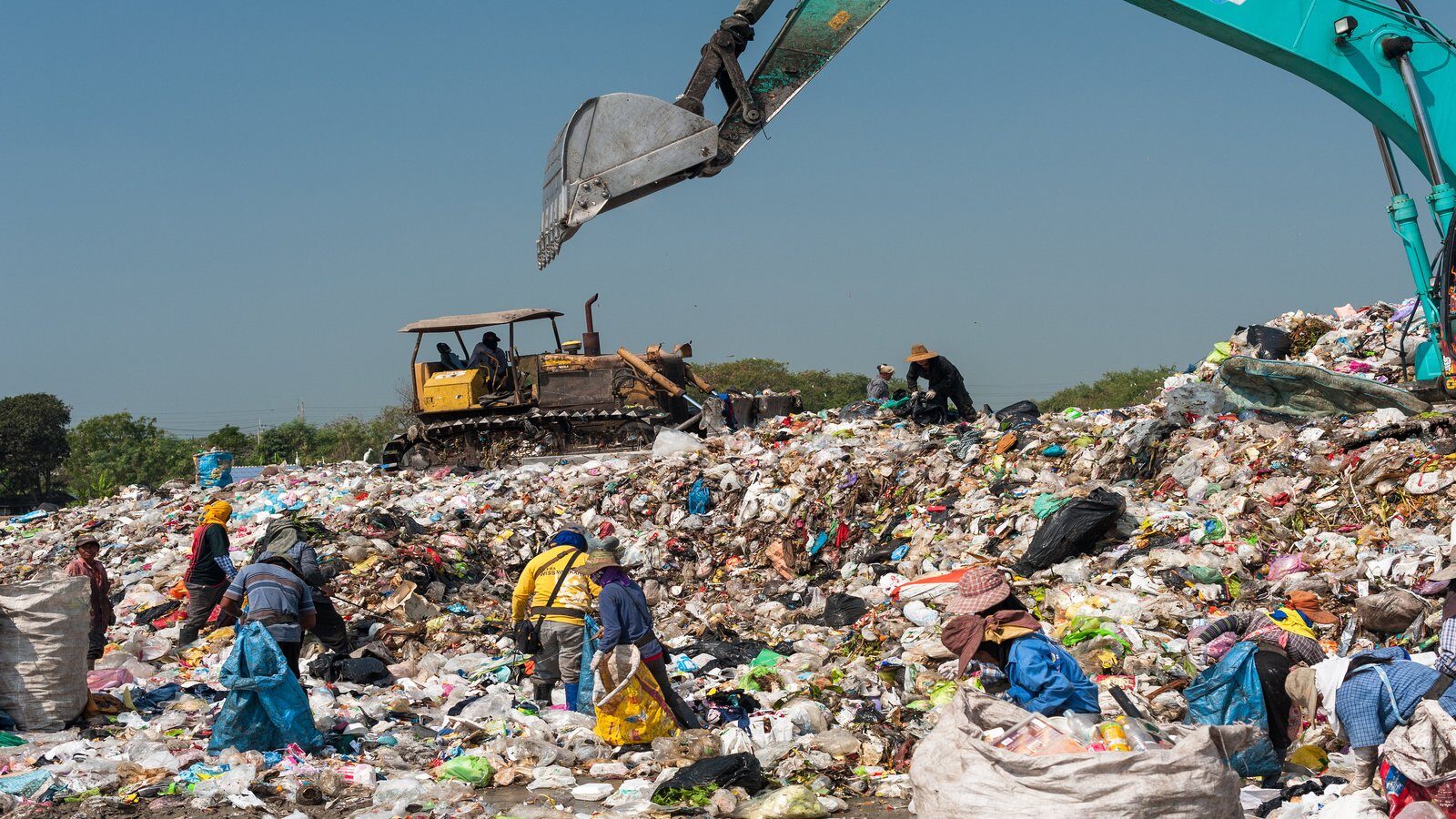 Waste Pickers Are Officially Champions of the Environment twib.news