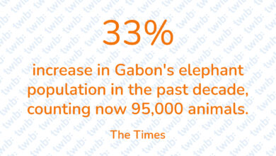 Did you know? 130222
