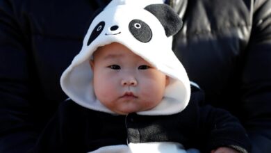 6month old baby in zoo in Tokyo