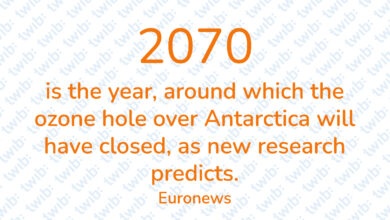 Did you know? 211022