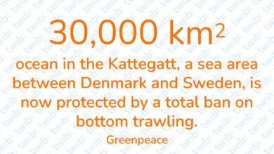 Did you know? 271022