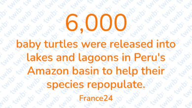 Did you know? 231122