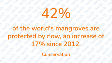 Did you know? 091222