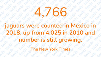 Did you know? 151222