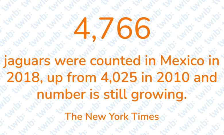 Did you know? 151222
