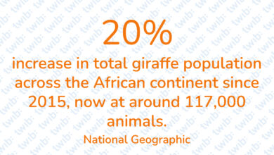 Did you know? 211222