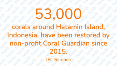 Did you know? 030123