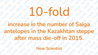 Did you know? 050123