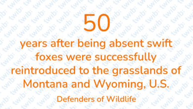Did you know? 090123