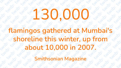 Did you know? 160123