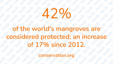 Did you know? 250123