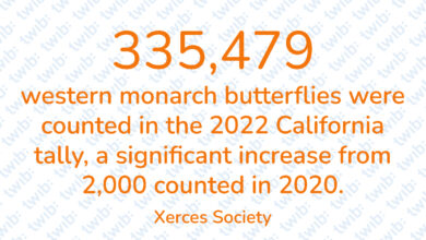 Did you know? 220223