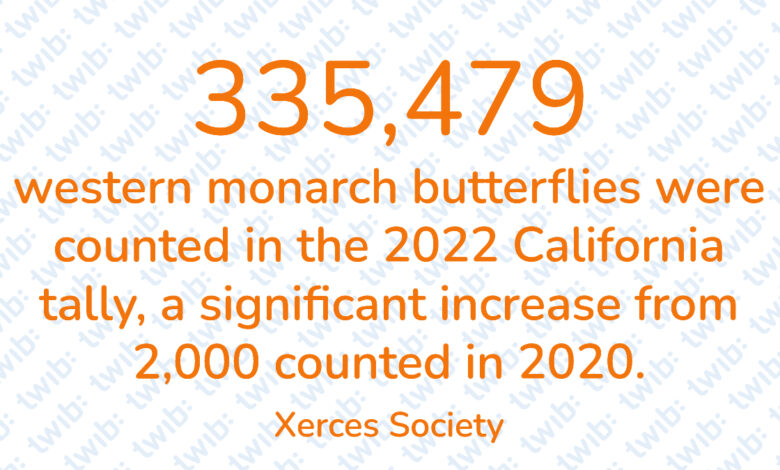 Did you know? 220223