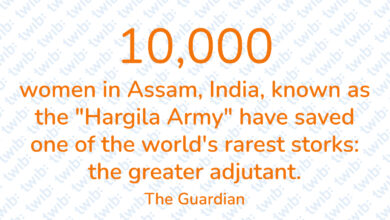 Did you know? 100323