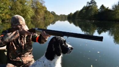 Hunter with gundog Loire, France