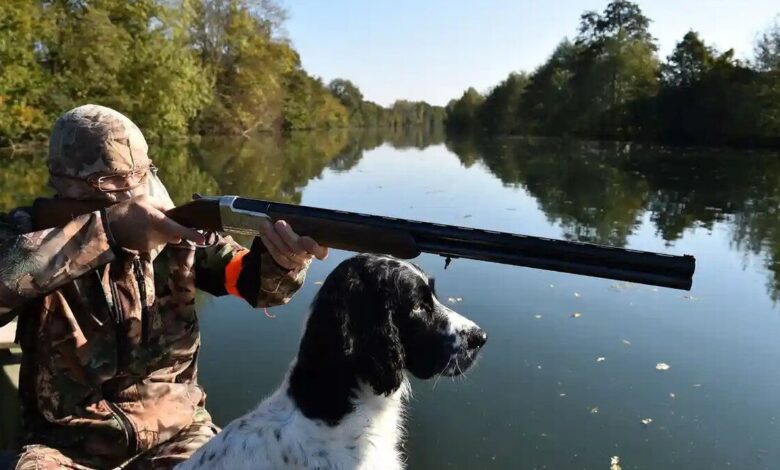 Hunter with gundog Loire, France
