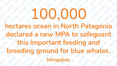 Did you know? 140423